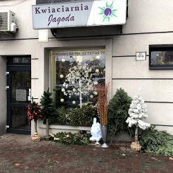 Kwiaciarnia Jagoda (Tarczyn )