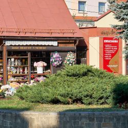 Kwiaciarnia Jagódka (Pieszyce )