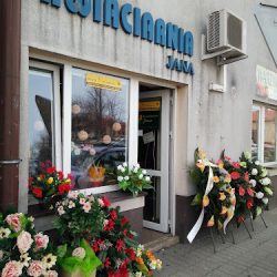 Kwiaciarnia Jana (Głogów Małopolski )