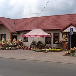 Kwiaciarnia Janina Stanek (Końskie en Merlo San Luis)