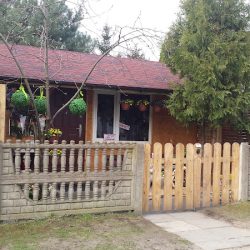 Kwiaciarnia Jarzębinka (- )