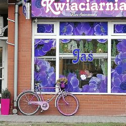 Kwiaciarnia Jaś (Piła )