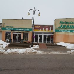 Kwiaciarnia Jaśmin (Elbląg )