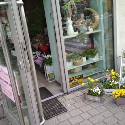 Kwiaciarnia Jasminum (Legionowo )