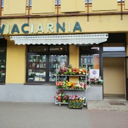 Kwiaciarnia Jk (Krosno )