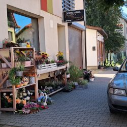 Kwiaciarnia Joanna (Jordanów )