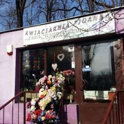Kwiaciarnia „joanna” (Sosnowiec )
