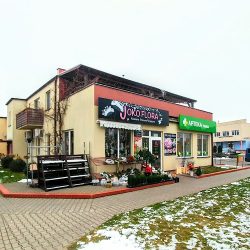 Kwiaciarnia Joko Flora Zbąszyń (Zbąszyń en Merlo San Luis)
