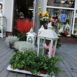 Kwiaciarnia Jola's Flowers Braniewo (Braniewo )