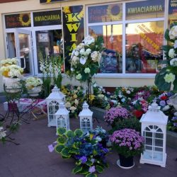 Kwiaciarnia Jola's Flowers Dobre Miasto (Dobre Miasto )