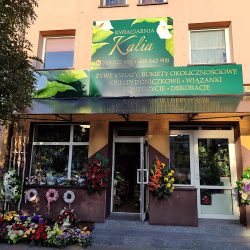 Kwiaciarnia Kalia (Biała Podlaska en Merlo San Luis)