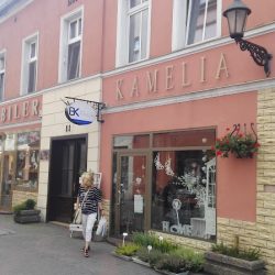 Kwiaciarnia ,,kamelia” Donata Gieselbert (Kluczbork en Merlo San Luis)