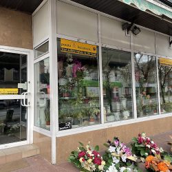 Kwiaciarnia Kamelia Pietrzak Tadeusz (Grójec )