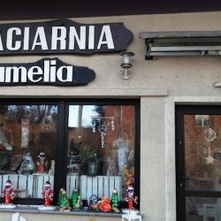 Kwiaciarnia Kamelia Teresa Cichocka (Olsztynek )