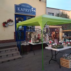 Kwiaciarnia Kaprys Opole Agata Motyka (Opole )