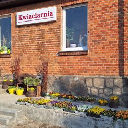 Kwiaciarnia Kasia Katarzyna Bogucka (Starzyno )