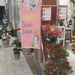 Kwiaciarnia Kaskada (Legnica )