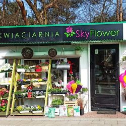 Kwiaciarnia Katarzyna Długosz (Osieck )