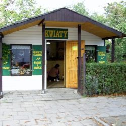 Kwiaciarnia Katarzyna Ziajko (Gliwice )