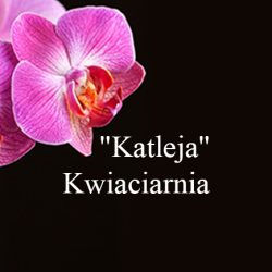 Kwiaciarnia 