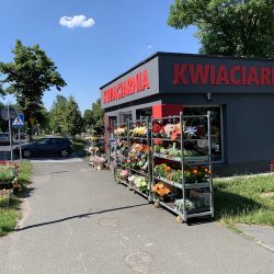 Kwiaciarnia Kim (Jelenia Góra )