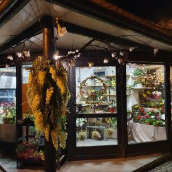 Kwiaciarnia Kiosk Kwietny (Wrocław )