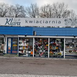 Kwiaciarnia Klara Oleśnica (Oleśnica )