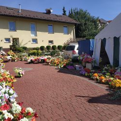 Kwiaciarnia Kojder Władysław (Przeworsk )