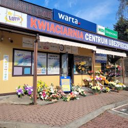 Kwiaciarnia-kolektura Lotto-ksero-wydruki (Luborzyca )