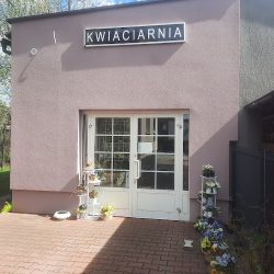 Kwiaciarnia Kolorowy Motyl,balony Z Helem (Zabrze )