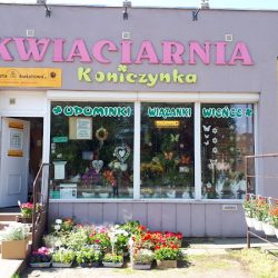 Kwiaciarnia Koniczynka, Tatiana Henkel (Szprotawa )
