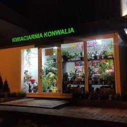 Kwiaciarnia Konwalia (Lublin )