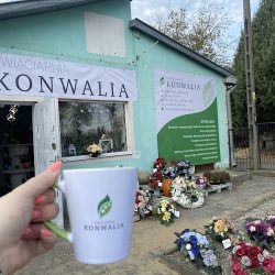 Kwiaciarnia Konwalia (Wierzbica )
