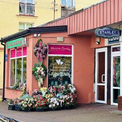Kwiaciarnia Kowalska Marianna (Nowy Dwór Mazowiecki )