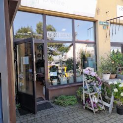 Kwiaciarnia Kozy, Florentine (Kozy )