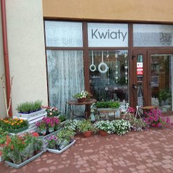 Kwiaciarnia Kredens (Banino )