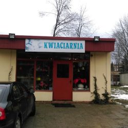 Kwiaciarnia Krokus (Ciechanów )