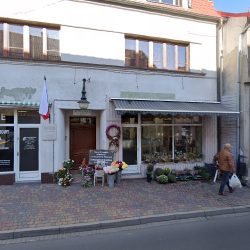 Kwiaciarnia Krokus M.b Urban (Zbąszyń en Merlo San Luis)