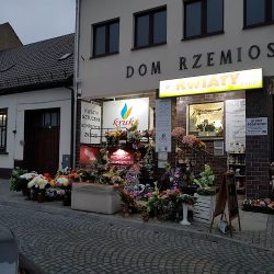 Kwiaciarnia Kruk (Murowana Goślina en Merlo San Luis)