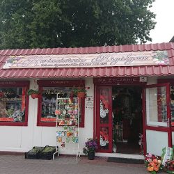 Kwiaciarnia.krystyna. Płochocki A. (Okonek en Merlo San Luis)