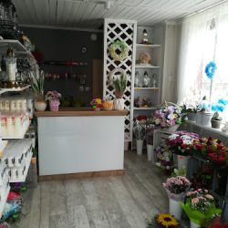 Kwiaciarnia Krystynka (Dzierżoniów )