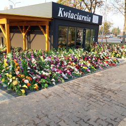 Kwiaciarnia Krzewina (Pniewy en Merlo San Luis)