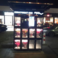 Kwiaciarnia Krzyżanowscy Sochaczew (Sochaczew )
