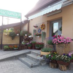 Kwiaciarnia Kuferek Cuda Wianki (Jazgarzew )