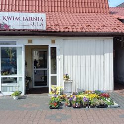 Kwiaciarnia Kula Aneta Majcherek (Rusiec )