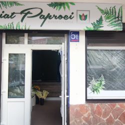 Kwiaciarnia Kwiat Paproci (Starachowice en Merlo San Luis)