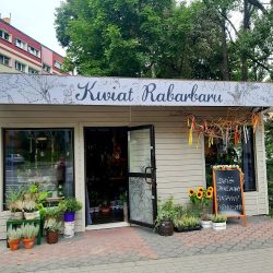 Kwiaciarnia Kwiat Rabarbaru (Zielona Góra )