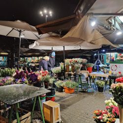 Kwiaciarnia Kwiateczkowo (Poznań en Merlo San Luis)