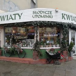 Kwiaciarnia Kwiatolubna Hubska 69 (Wrocław )