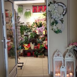 Kwiaciarnia Kwiatomania U Pauliny (Piekoszów en Merlo San Luis)